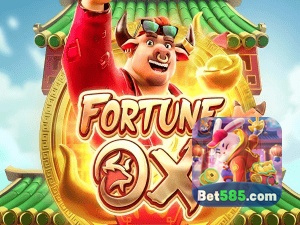 585BET login — painel de entrada no app oficial